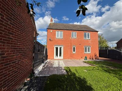 Picture 20